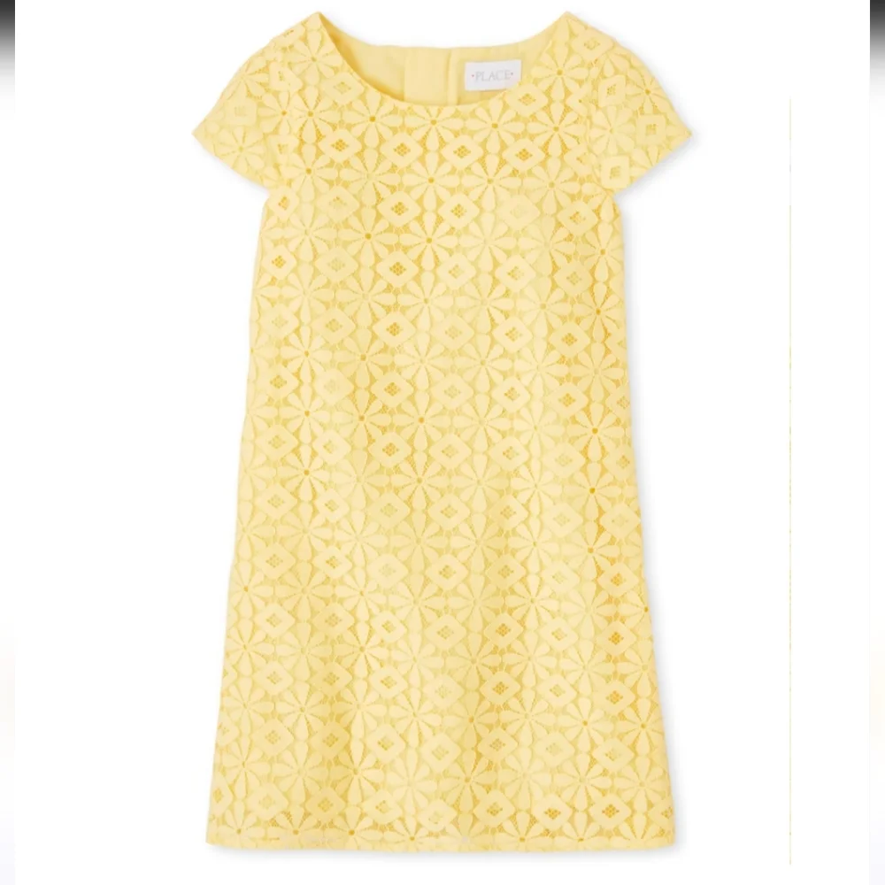 Place Lace Overlay Dress - Picture 1 of 10